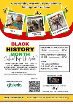 The Galleria - Black history month poster