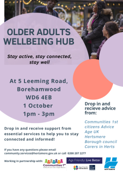 older adults wellbeing hub