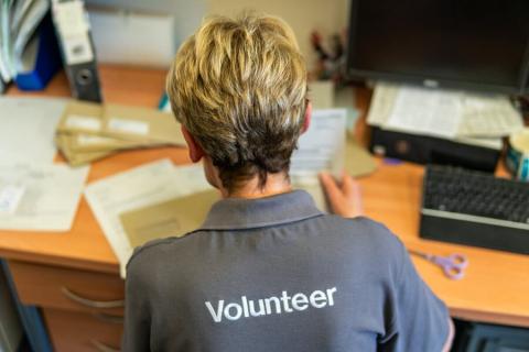 Female volunteer in grey 'volunteer' polo shirt, sitting at a desk doing admin work
