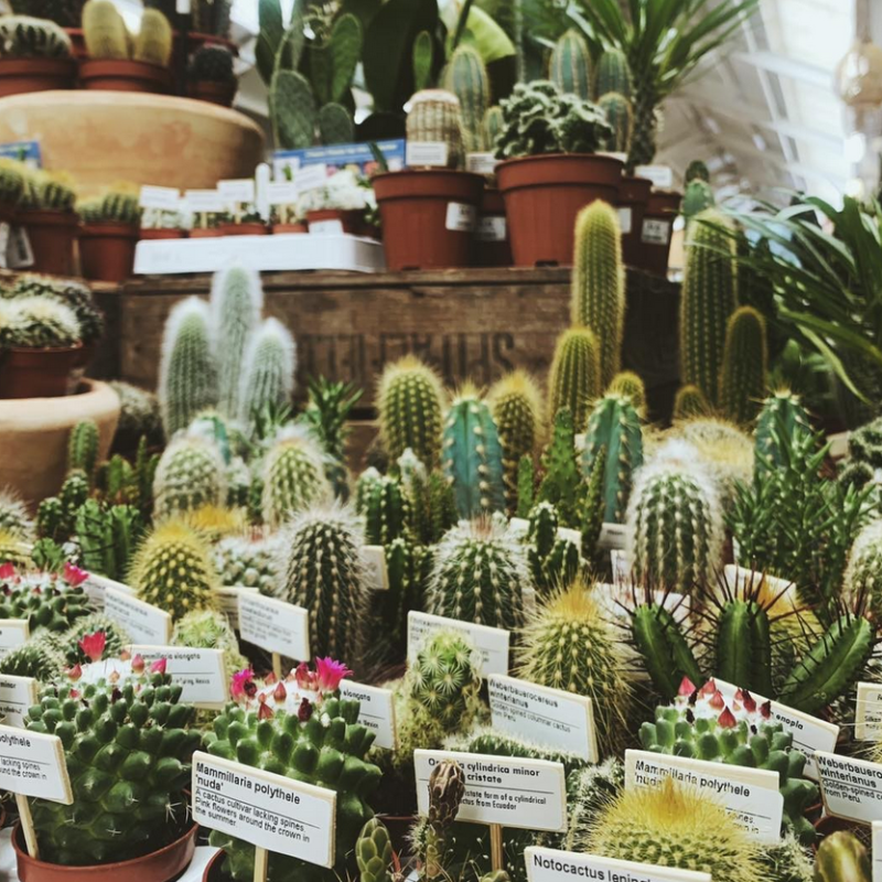 Burston Garden Centre