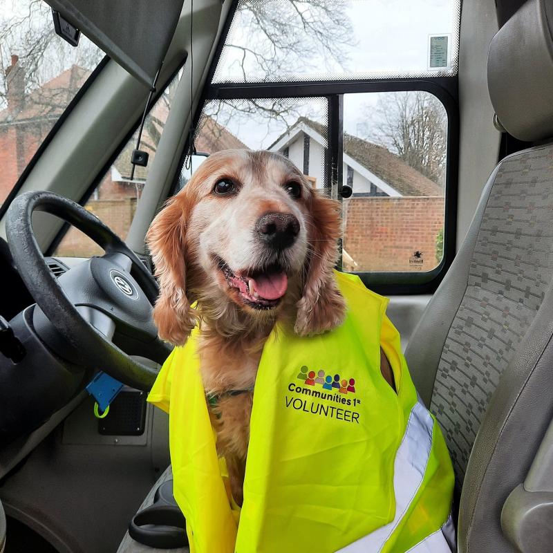 The Shortlisted Image