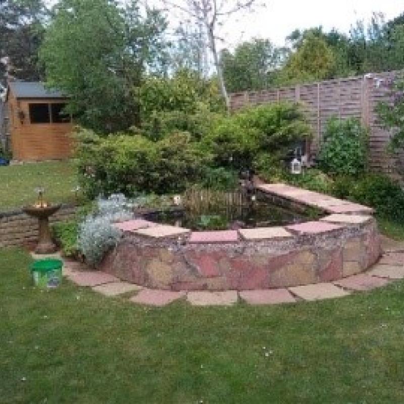 Pond and lawn