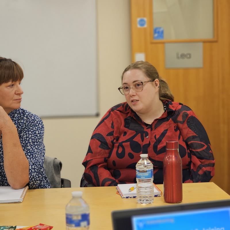 Discussing and working together