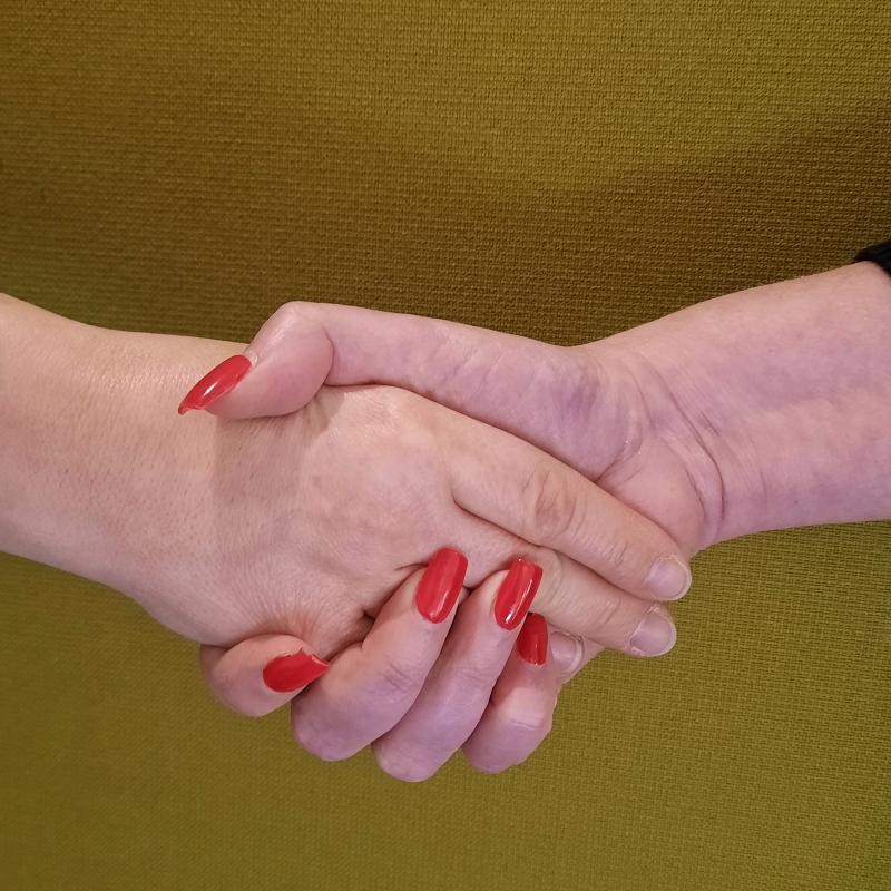 A handshake with an olive toned background.