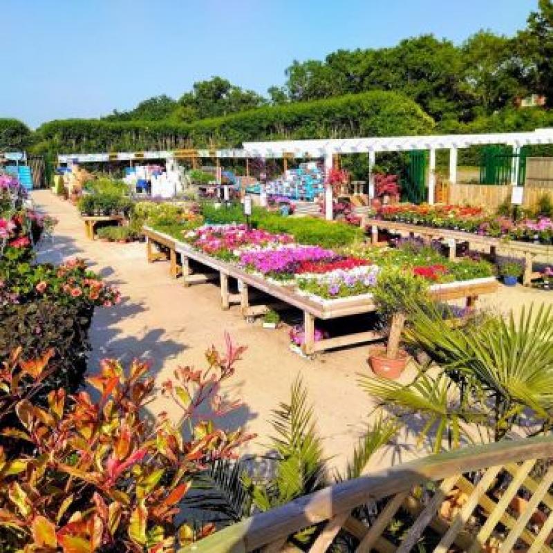 Carpenters Nursery garden centre