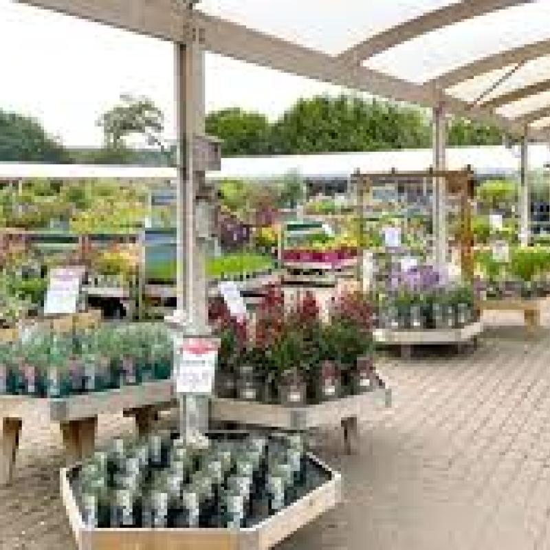 Tring Garden Centre