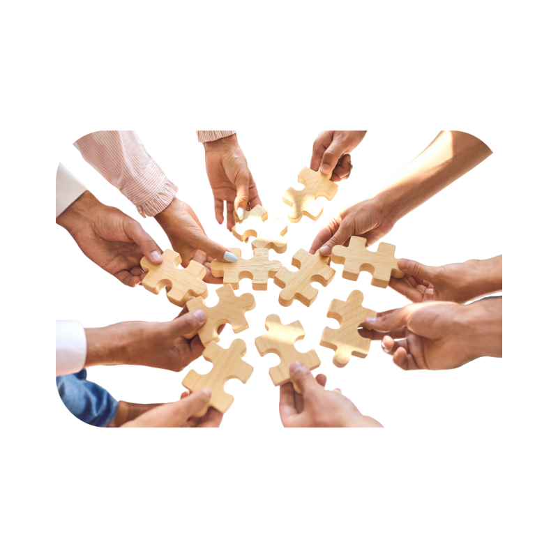 Facilitating Team building - Professional Skills Training - Web