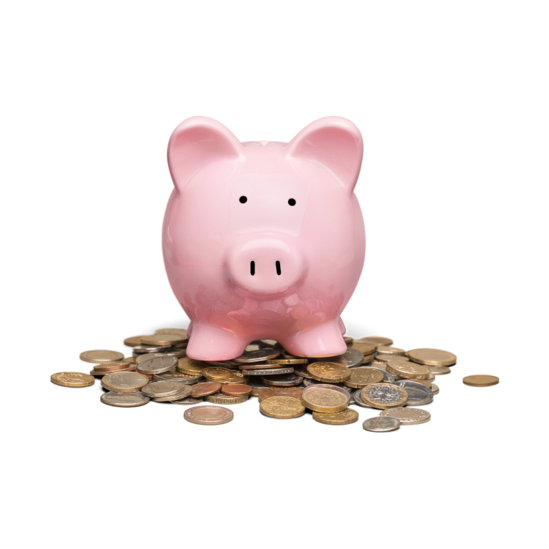 Full Cost Recovery - Professional Skills Training - Web