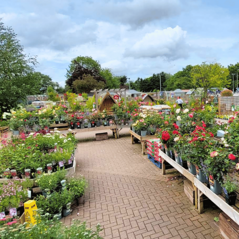 Notcutts Garden Centre - St Albans